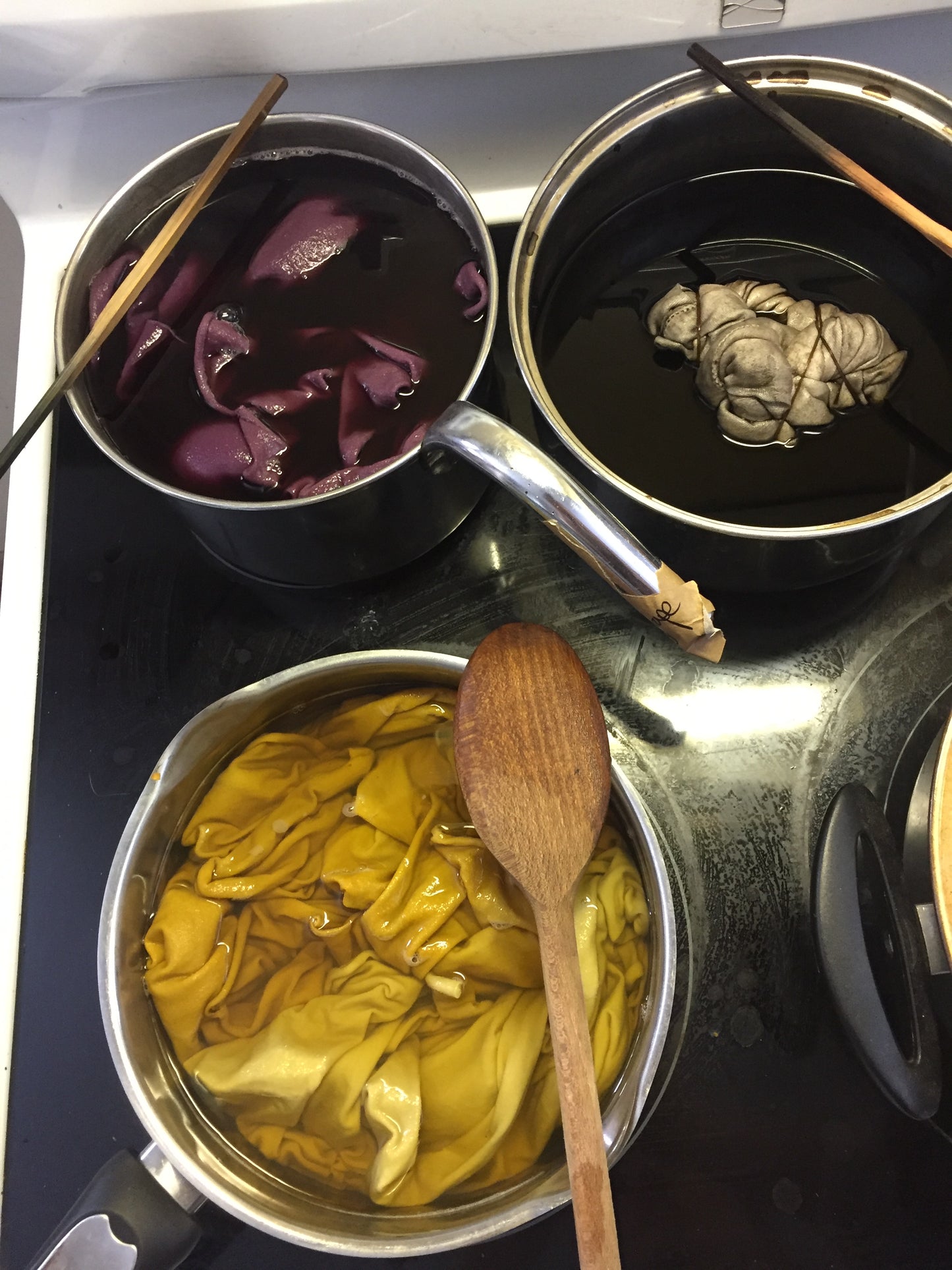 one-on-one botanical dyeing with me - private workshop