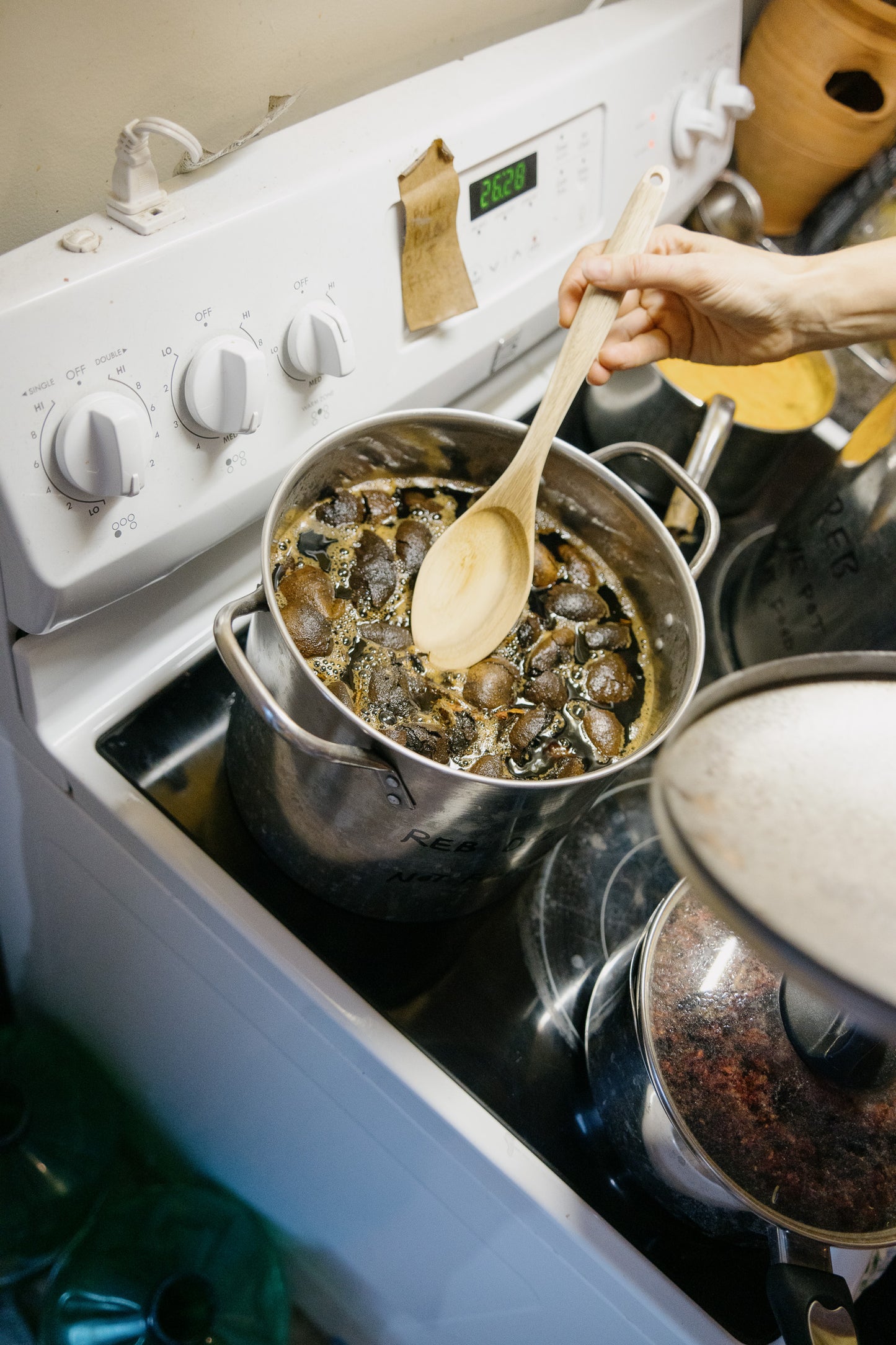 one-on-one botanical dyeing with me - private workshop